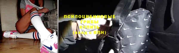 прущие крисы Абинск