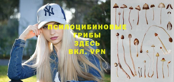 мяу мяу мука Алексеевка