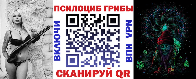 наркота  Почеп  Галлюциногенные грибы ЛСД 